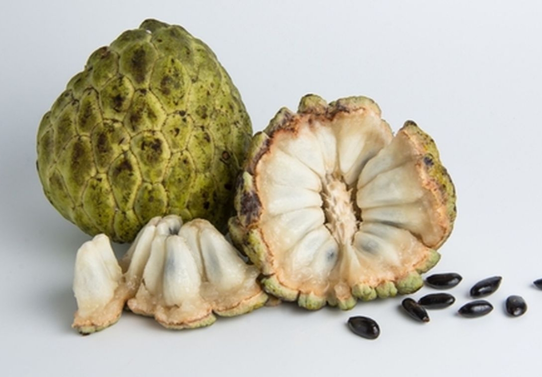 Sering Makan Srikaya Bisa Sembuhkan Sejumlah Penyakit, Apa Sajakah Itu?