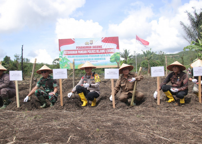 Tanaman Ketahanan Pangan Ditargetkan Produktif