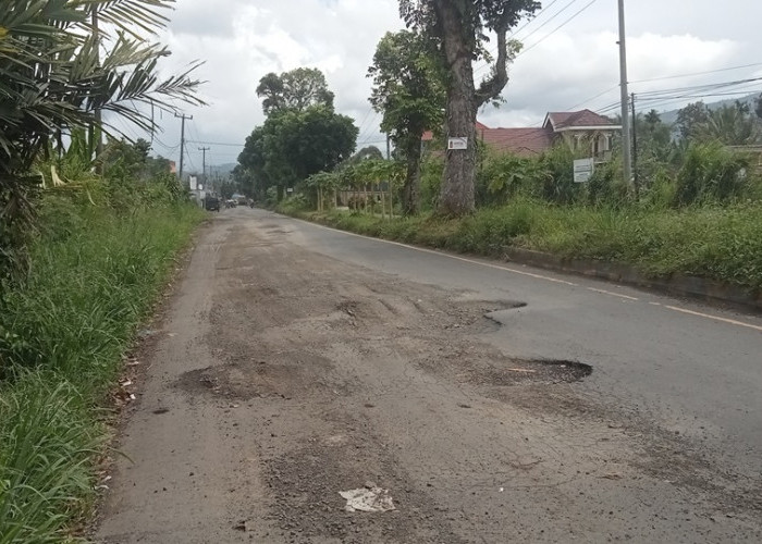 Jalan Jalur 2 Rusak, Warga dan Pengendara Minta Pemerintah Respon untuk Perbaikan