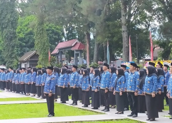 Nasib 362 PPPK Paruh Waktu di Rejang Lebong Masih Menunggu Kepastian