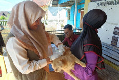 Vaksinasi HPR Digalakkan di Wilayah Rawan Kasus