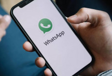 WhatsApp Bisa dijadikan Media untuk Mencari Cuan, Begini Caranya!