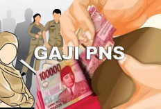 Selain Kenaikan Gaji, Guru PNS Dapat Tunjangan, Ini Besarannya!