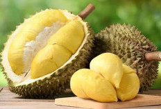 Ini 5 Makanan Yang Baik Dikonsumsi Setelah Makan Durian