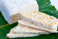 Dibungkus Plastik atau Daun Pisang, Tempe Mana yang Lebih Aman Dikonsumsi ?