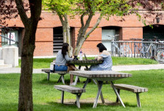Harvard Dilarang Terima Mahasiswa Asing, Pemerintahan Trump Dikecam ?