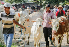 Imbau OPD Ikut Berkurban