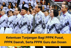 Sri Mulyani Berikan 5 Jenis Tunjangan Ini Kepada PPPK, Berikut Rinciannya