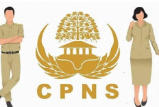 Mau Daftar CPNS 2024, Kamu Perlu Tahu Aturan Ini Agar Tidak Gagal Paham!