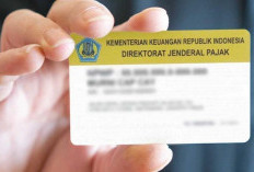 6 Juta Data NPWP Diduga Kebocoran