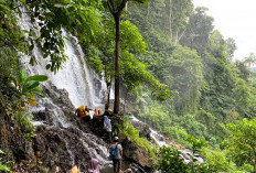  Pesona Air Terjun Puspa Dewi di Rejang Lebong, Wisata Unik dengan Dua Suhu Air Berbeda