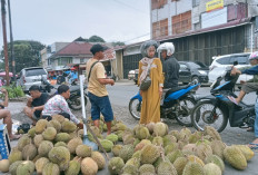 Penjualan Buah Durian Alami Peningkatan