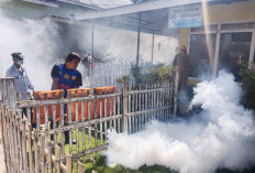 Belasan Warga Diserang DBD, PMW Turunkan 2 Tim Fogging