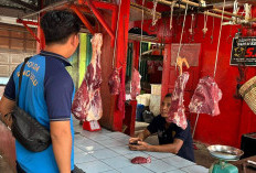 Satgas Pangan Polres Rejang Lebong : Harga Daging Jelang Idul Adha Masih Normal, Stok Sembako Aman