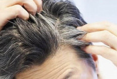 Mengapa Mencabut Rambut Putih Tidak Disarankan? Berikut Alasannya