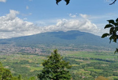 Sambut Baik Rencana Pengembangan Wisata Baru, Pokdarwis Bukit Basah Berencana Studi Banding ke Bukit Tinggi