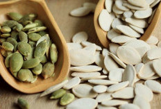 Inilah 6 Jenis Kuaci dengan Rasa dan Manfaat Berbeda, Nomor 5 Jarang Diketahui !