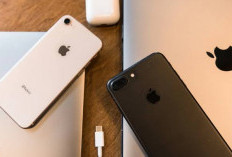 Ini 10 Tips yang Harus Diperhatikan Saat Membeli Iphone Bekas Agar Dapat yang Ori