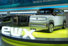 Inilah Kelebihan dan Kekurangan Mobil Suzuki eWX