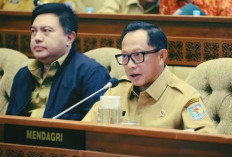 Mendagri dengan Tegas Melarang Pembayaran Gaji Honorer 2025, Tapi Tidak Berlaku untuk 4 Kategori Ini