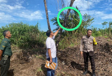 Heboh! Warga Rejang Lebong Temukan Wanita Tengah Mengandung Gantung Diri