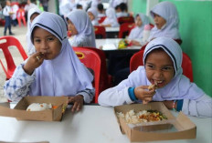 Dikontrak 5 Tahun, Ini Gaji Karyawan Dapur Makan Bergizi Gratis