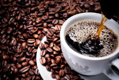 Ini yang Dirasakan Tubuh Ketika Berhenti Minum Kopi : Banyak Positifnya, Harus Kamu Coba!