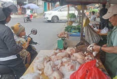 Harga Ayam di Pasar Kaget Naik Rp 30 Ribu Perkilogram