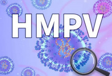 Virus HMPV Muncul di Indonesia, Mirip Flu Biasa