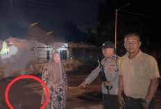 Ini Kronologis Kasus Perampokan Guru di Jalan Lintas Curup-Lubuklinggau