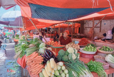 Harga Cabai Merah Tembus Rp 70 Ribu per Kilogram 