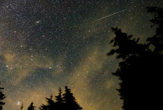 Puncak Hujan Meteor Lyrid! Saksikan Keajaiban Langit 23-24 April