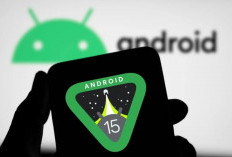 Android 15 Sajikan Informasi Kesehatan