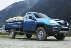  Petir India, Oleh: Dahlan Iskan   