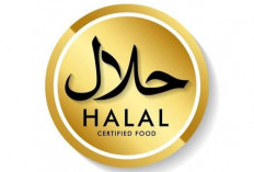 Halal Bukan Hanya Label ! Ini Alasan Mengapa UMKM Makanan Harus  Memperhatikan Standar Halal