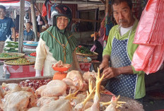 Harga Ayam di Pasar Atas Curup Turun Jadi Rp 25 Ribu per Kilogram
