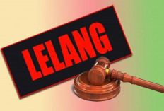 Baru 3 Jenis Kegiatan Ini yang Tayang Tender di Rejang Lebong!