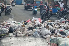 Sampah Tak Terangkut, Rejang Lebong Terancam Krisis Lingkungan