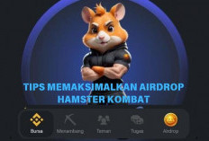 Begini Langkah Token Hamster Kombat Masuk ke Wallet!