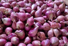 Januari 2025, Harga Bawang Merah Capai Rp 45 Ribu Perkilo