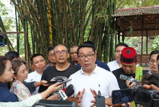 Kali Ciliwung Butuh Pentahelix untuk Solusi Lingkungan