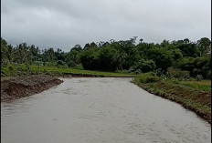 Normalisasi Sungai Musi Ditargetkan Rampung Sebelum Nataru, Dua Alat Berat Dikerahkan