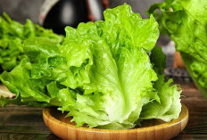 Fakta Menarik ! Sayuran Ini Bisa Tumbuh Tanpa Matahari Terik