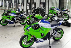 Kawasaki Ninja 40Th Anniversary Dijual di Indonesia