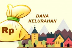 12 Kelurahan Dapat DK Rp 2,4 Miliar