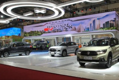 Sorotan Terbaru Suzuki BYD Hybrid yang Harganya Cuma Rp 170 Jutaan