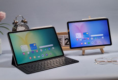 Samsung Galaxy Tab S10 FE Resmi Hadir di Indonesia, Ini Spesifikasi dan Harganya!
