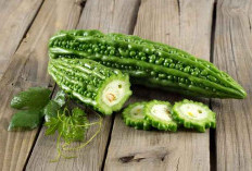 Kamu Harus Tahu! Ini 3 Tanaman Herbal Penurun Gula Darah! Ini Solusi Alami untuk Kesehatan Anda