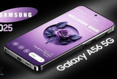 Samsung Galaxy A56 5G Siap Meluncur: Desain Elegan, Performa Lebih Canggih