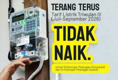  Pemerintah Pastikan Tarif Listrik Tidak Naik